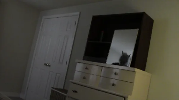 Real Scary screenshot 1
