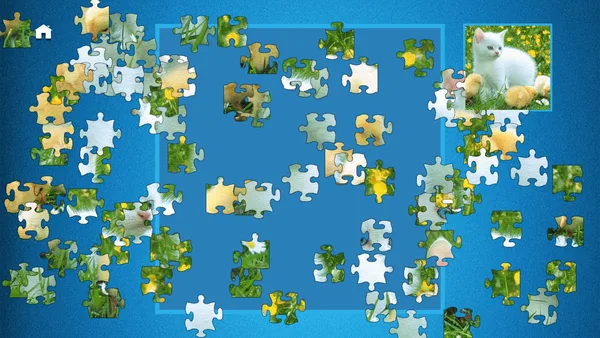 PUZZLE: ULTIMATE screenshot 2
