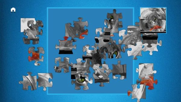 PUZZLE: ULTIMATE screenshot 6