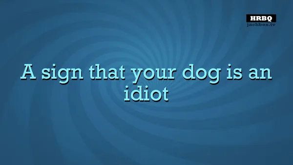 Quiplash 2 InterLASHional screenshot 2