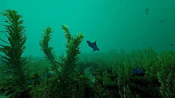 Ecosystem screenshot 11