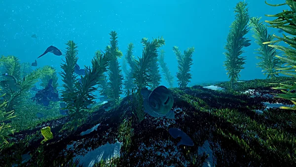 Ecosystem screenshot 13