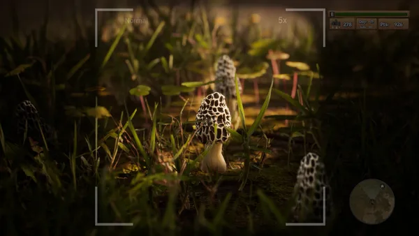 Screenshot 1 di Morels: The Hunt