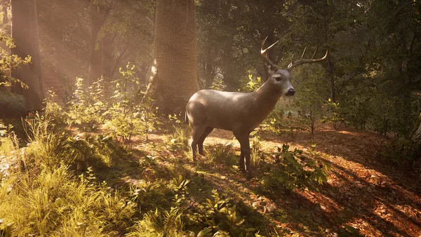 Screenshot 12 di Morels: The Hunt