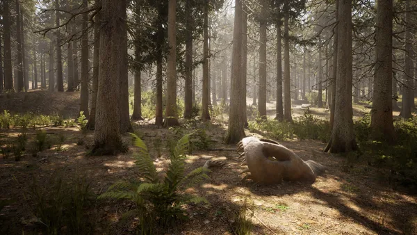 Screenshot 18 di Morels: The Hunt