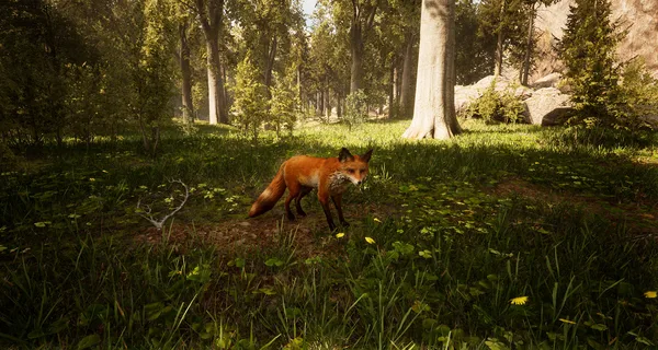 Screenshot 19 di Morels: The Hunt