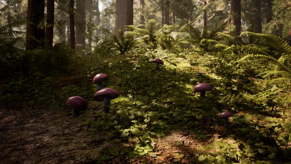 Screenshot 20 di Morels: The Hunt
