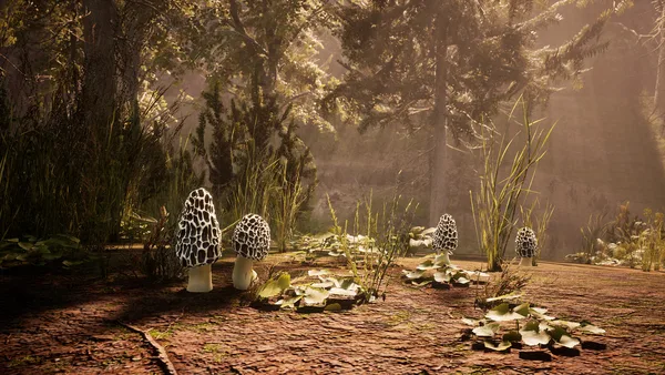 Screenshot 5 di Morels: The Hunt