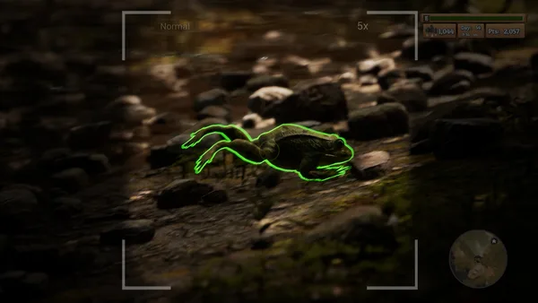 Screenshot 6 di Morels: The Hunt
