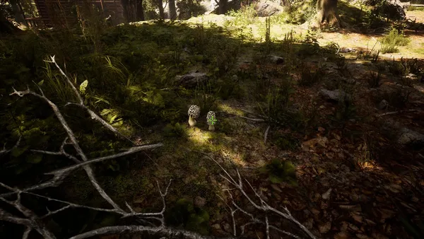 Screenshot 7 di Morels: The Hunt