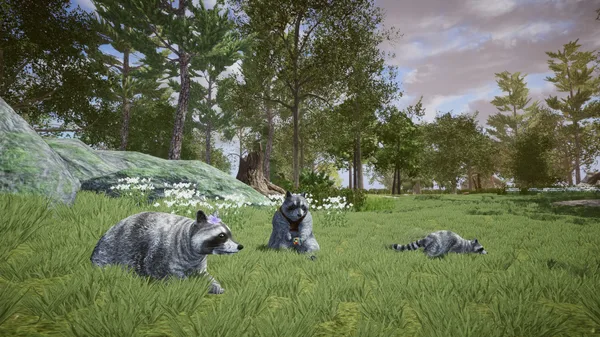 Wanted Raccoon screenshot 20