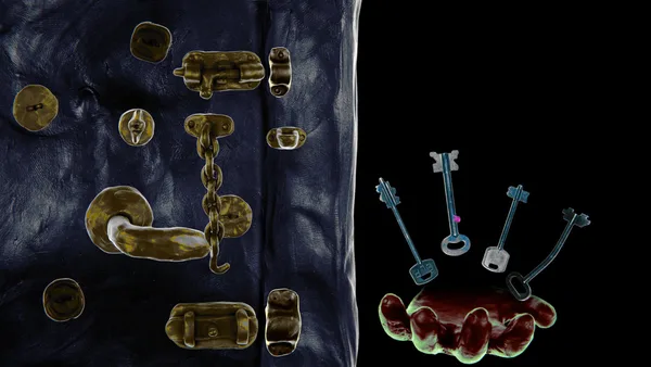 Screenshot 1 di Isolomus