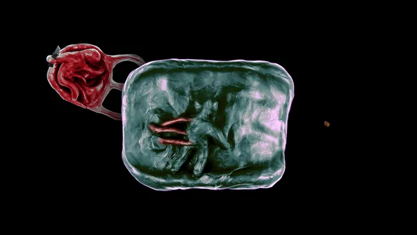 Screenshot 10 di Isolomus