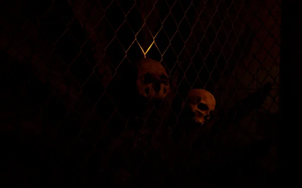Understanding, The Game screenshot 3