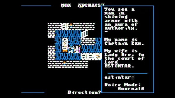 Screenshot 9 di Nox Archaist