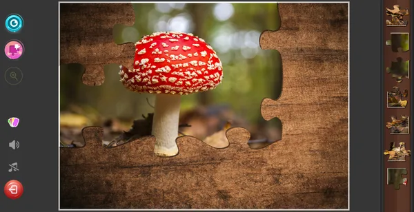 Screenshot 3 di Gnome Jigsaw Puzzles