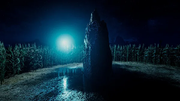 They Are Here: Alien Abduction Horror screenshot 12