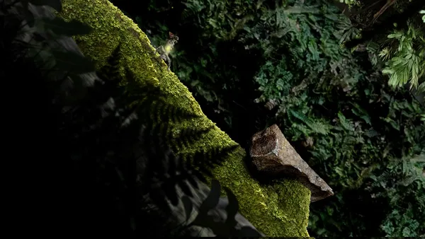 Seedlings screenshot 4