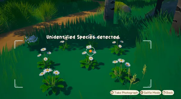Out and About screenshot 9