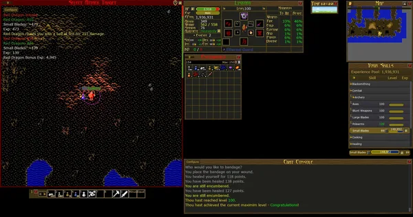 Dransik screenshot 9