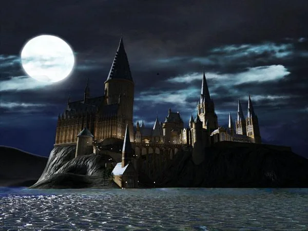 Screenshot 10 di LEGO® Harry Potter: Years 1-4