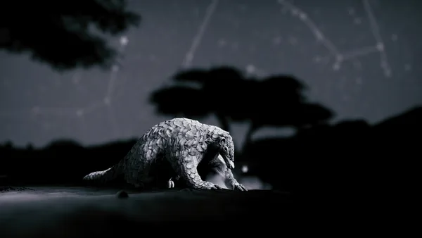 Seclusa screenshot 13