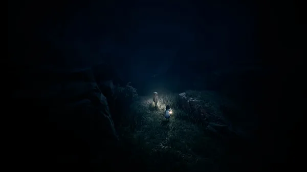 REANIMAL screenshot 9