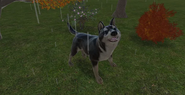 Pets Hotel: Prologue screenshot 14
