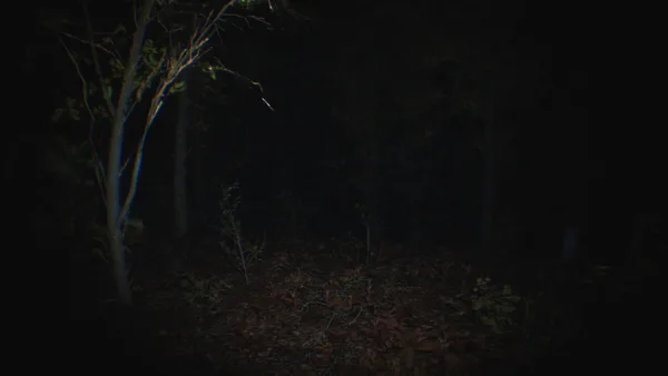 Paranormal Tales screenshot 2