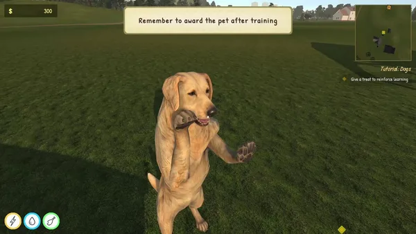 Animal Trainer Simulator: Prologue screenshot 6