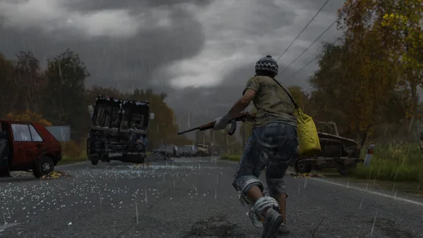 DayZ on PC: system requirements, reviews, price, co-op