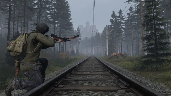 DayZ screenshot 17