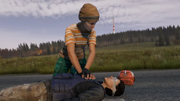 DayZ on PC: system requirements, reviews, price, co-op