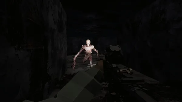Fargone screenshot 17