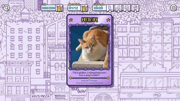 Hidden Cats in New York screenshot 4