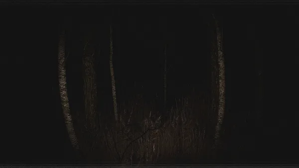 Screenshot 1 di Paranormal VHS