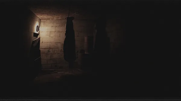 Screenshot 7 di Paranormal VHS