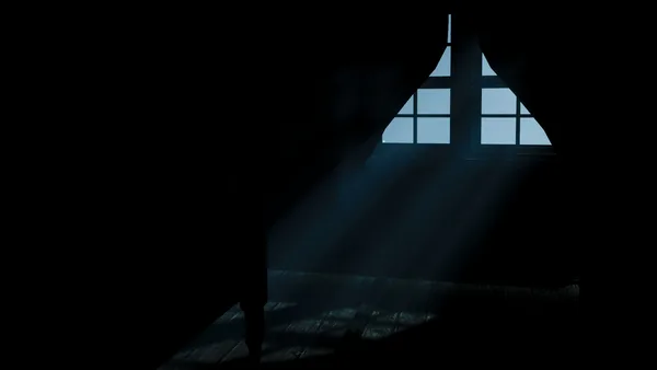 Screenshot 4 di Silent Nights