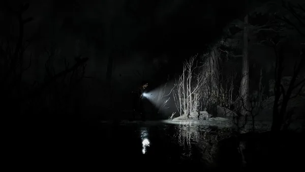 Silver Pines screenshot 7