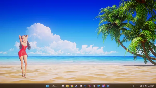 Desktop Beach Girls on PC: system requirements, reviews, price