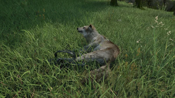 Ranger’s Path: National Park Simulator screenshot 15