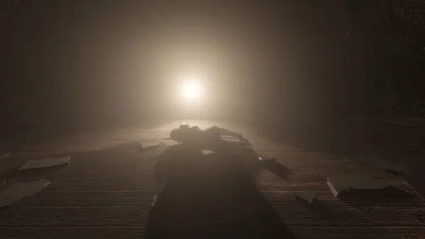 Selene's Unbearable Night screenshot 18