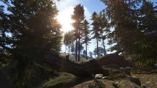 Rust screenshot 22