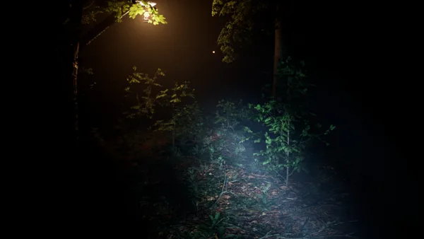 Screenshot 5 di Exanimum: The Silent Call