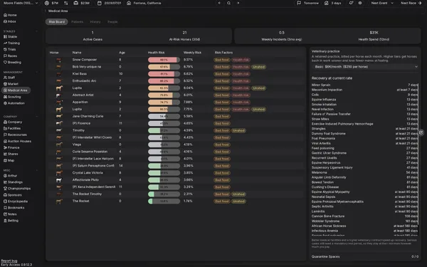 Horse Racing Manager screenshot 17