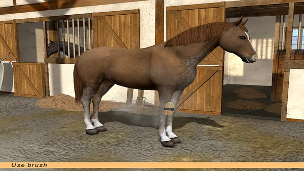 Riding Star - Horse Championship! screenshot 7