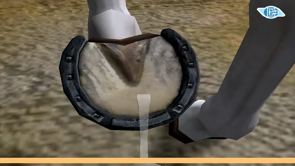 Riding Star - Horse Championship! screenshot 8