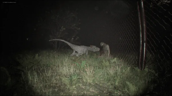 Unknown Tapes screenshot 7