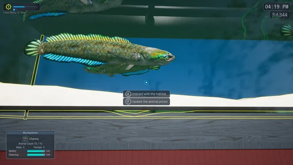 Exotica 2: Pet Shop Simulator screenshot 10
