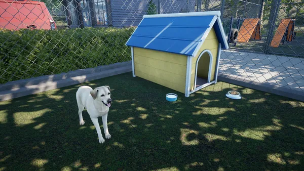 Exotica 2: Pet Shop Simulator screenshot 14